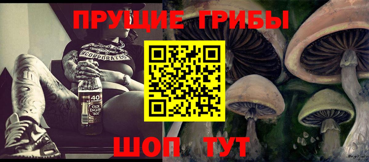 Галлюциногенные грибы MAGIC MUSHROOMS Хасавюрт